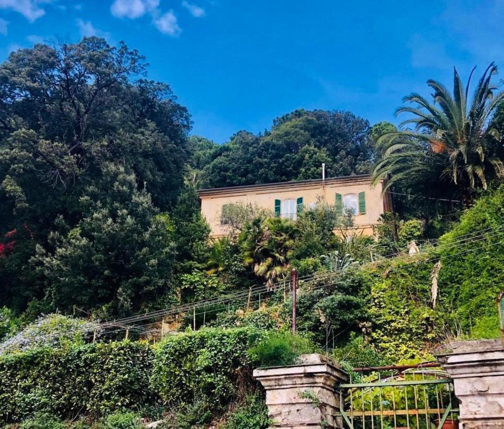 Caligo Bed & Breakfast La Spezia Ngoại thất bức ảnh