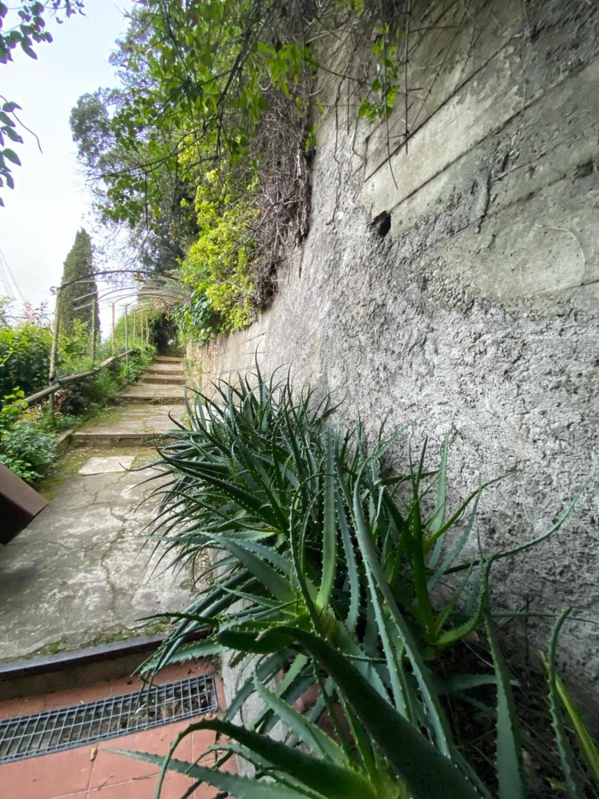 Caligo Bed & Breakfast La Spezia Ngoại thất bức ảnh